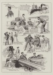 De weerspannige torpedo